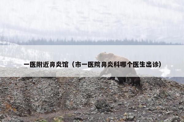 一医附近鼻炎馆（市一医院鼻炎科哪个医生出诊）