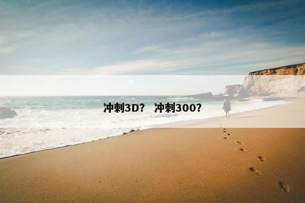 冲刺3D？ 冲刺300？