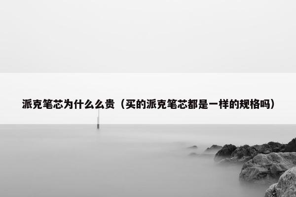 派克笔芯为什么么贵（买的派克笔芯都是一样的规格吗）