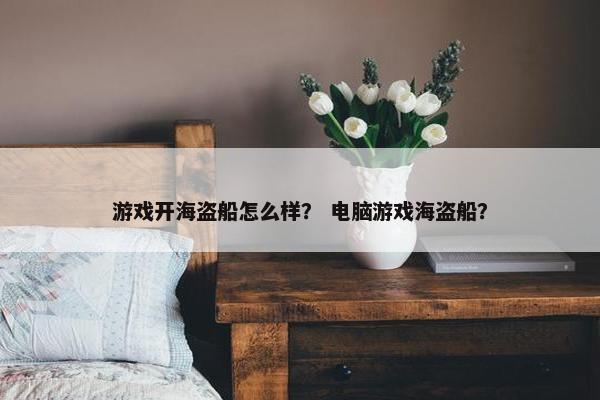 游戏开海盗船怎么样？ 电脑游戏海盗船？