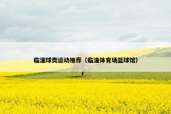 临潼球类运动推荐(临潼体育场篮球馆) 临潼球类运动推荐(临潼体育场篮球馆)