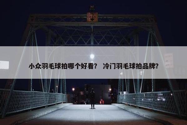 小众羽毛球拍哪个好看？ 冷门羽毛球拍品牌？