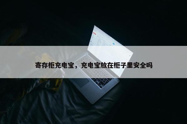 寄存柜充电宝，充电宝放在柜子里安全吗