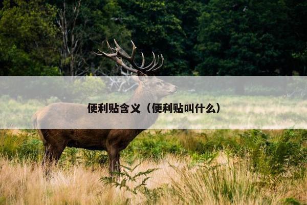 便利贴含义（便利贴叫什么）