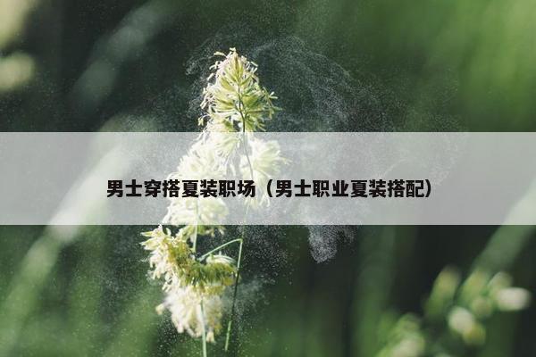 男士穿搭夏装职场（男士职业夏装搭配）
