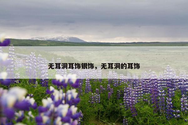 无耳洞耳饰银饰，无耳洞的耳饰