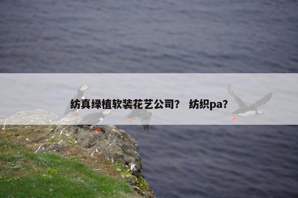 纺真绿植软装花艺公司？ 纺织pa？