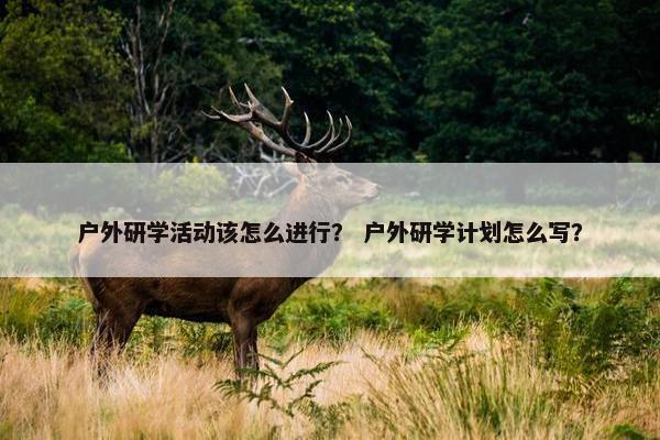 户外研学活动该怎么进行? 户外研学计划怎么写? 户外研学活动该怎么进行? 户外研学计划怎么写?