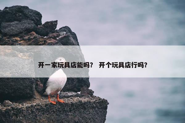 开一家玩具店能吗？ 开个玩具店行吗？