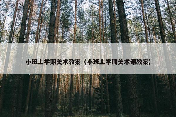 小班上学期美术教案（小班上学期美术课教案）