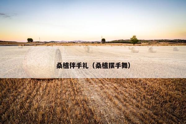 桑植伴手礼(桑植摆手舞) 桑植伴手礼(桑植摆手舞)