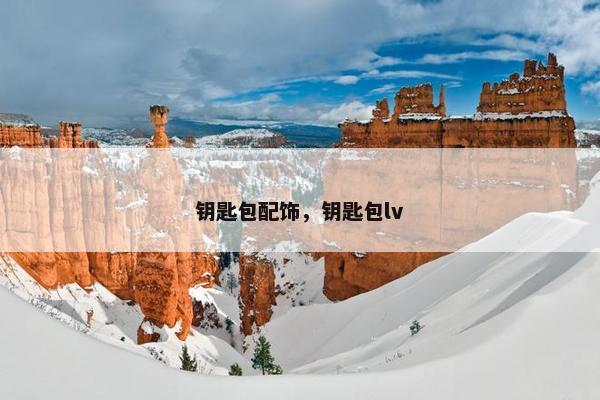 钥匙包配饰，钥匙包lv