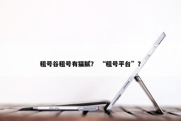 租号谷租号有猫腻? “租号平台”? 租号谷租号有猫腻? “租号平台”?