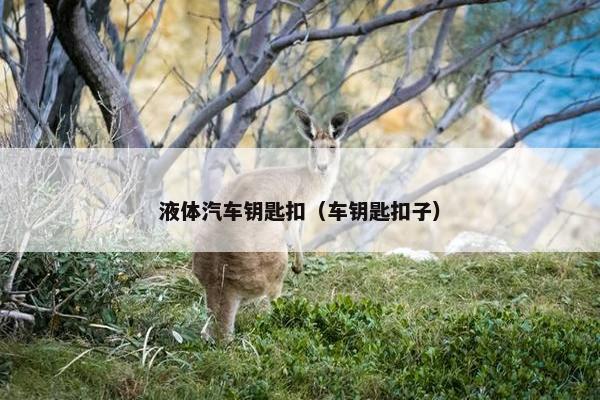 液体汽车钥匙扣（车钥匙扣子）