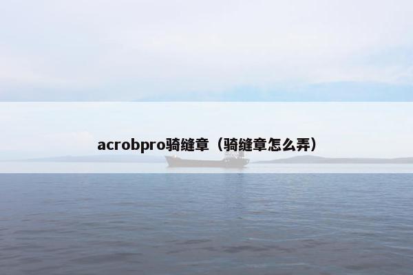 acrobpro骑缝章（骑缝章怎么弄）