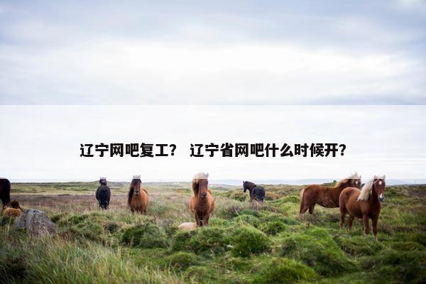 辽宁网吧复工? 辽宁省网吧什么时候开? 辽宁网吧复工? 辽宁省网吧什么时候开?