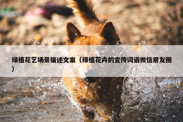绿植花艺场景描述文案（绿植花卉的宣传词语微信朋友圈）