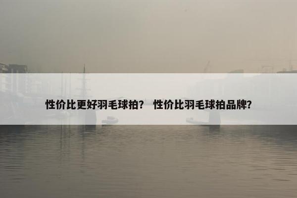 性价比更好羽毛球拍？ 性价比羽毛球拍品牌？