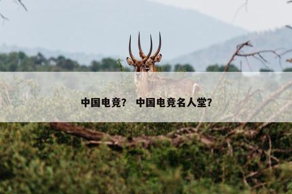 中国电竞？ 中国电竞名人堂？