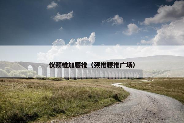 仪颈椎加腰椎（颈椎腰椎广场）