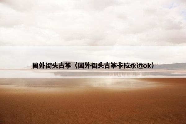 国外街头古筝（国外街头古筝卡拉永远ok）