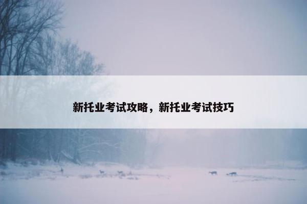 新托业考试攻略，新托业考试技巧