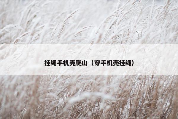 挂绳手机壳爬山（穿手机壳挂绳）