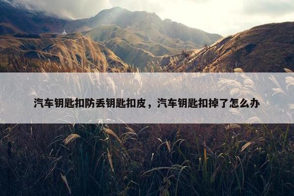 汽车钥匙扣防丢钥匙扣皮，汽车钥匙扣掉了怎么办