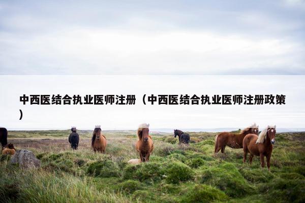 中西医结合执业医师注册（中西医结合执业医师注册政策）