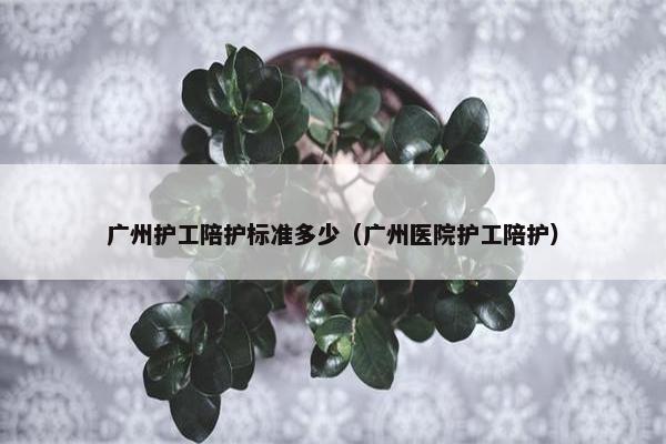 广州护工陪护标准多少（广州医院护工陪护）