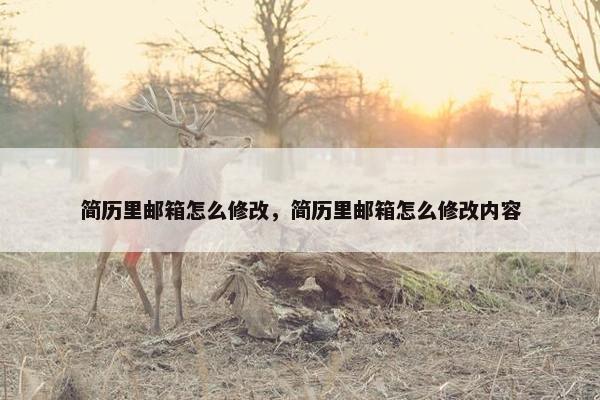 简历里邮箱怎么修改，简历里邮箱怎么修改内容