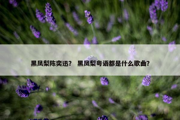 黑凤梨陈奕迅？ 黑凤梨粤语都是什么歌曲？
