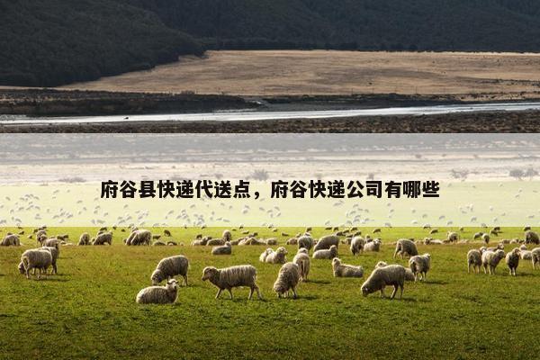 府谷县快递代送点，府谷快递公司有哪些