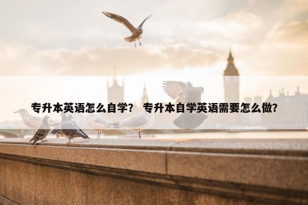 专升本英语怎么自学? 专升本自学英语需要怎么做? 专升本英语怎么自学? 专升本自学英语需要怎么做?