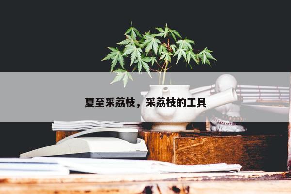 夏至采荔枝，采荔枝的工具