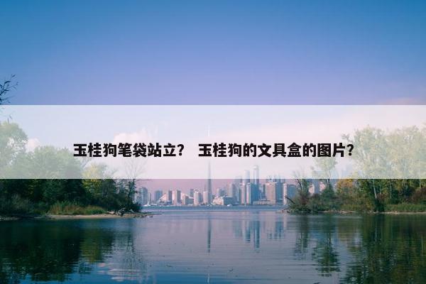 玉桂狗笔袋站立？ 玉桂狗的文具盒的图片？