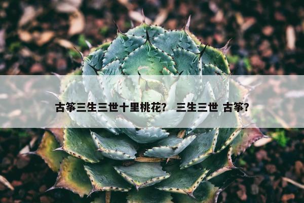 古筝三生三世十里桃花？ 三生三世 古筝？