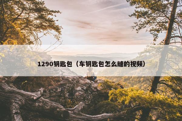 1290钥匙包(车钥匙包怎么缝的视频) 1290钥匙包(车钥匙包怎么缝的视频)