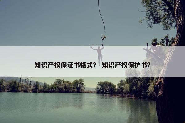 知识产权保证书格式？ 知识产权保护书？