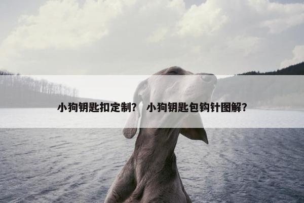 小狗钥匙扣定制？ 小狗钥匙包钩针图解？