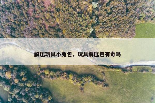 解压玩具小兔包，玩具解压包有毒吗