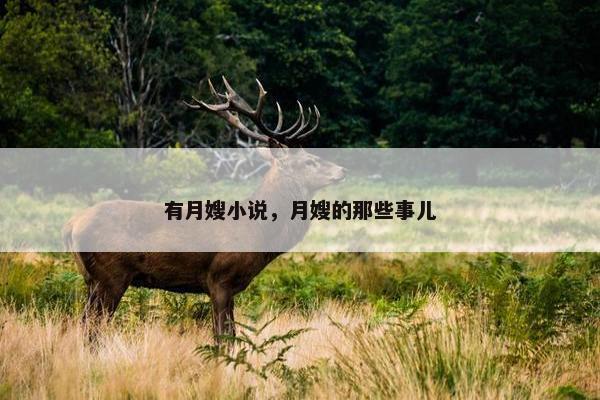 有月嫂小说，月嫂的那些事儿