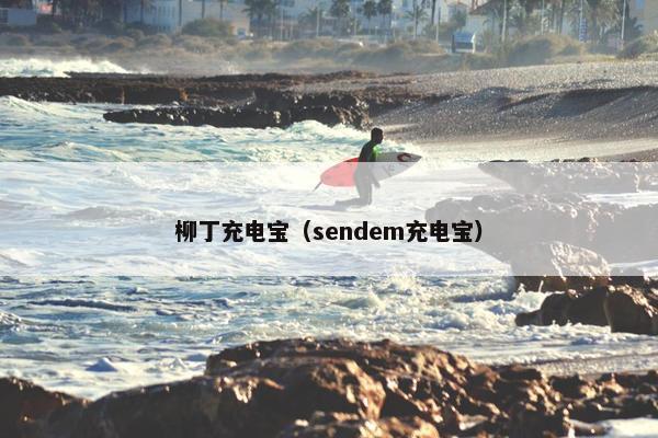 柳丁充电宝（sendem充电宝）