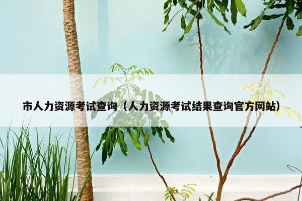 市人力资源考试查询（人力资源考试结果查询官方网站）