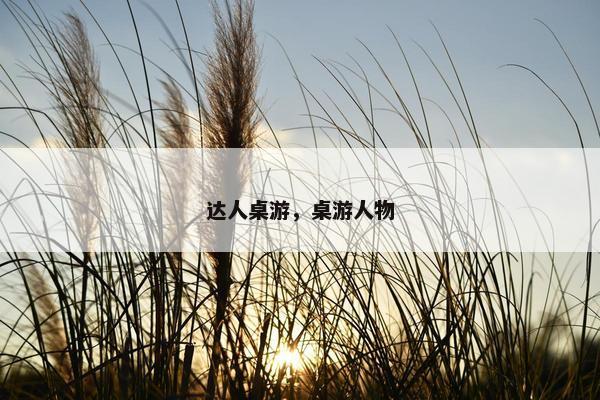 达人桌游,桌游人物 达人桌游,桌游人物