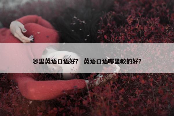 哪里英语口语好？ 英语口语哪里教的好？