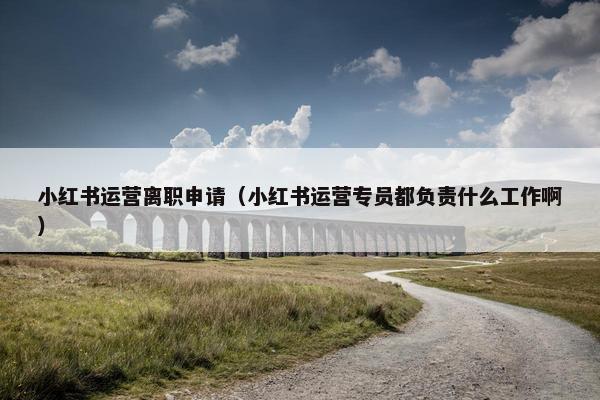 小红书运营离职申请（小红书运营专员都负责什么工作啊）