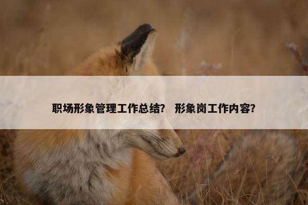 职场形象管理工作总结？ 形象岗工作内容？