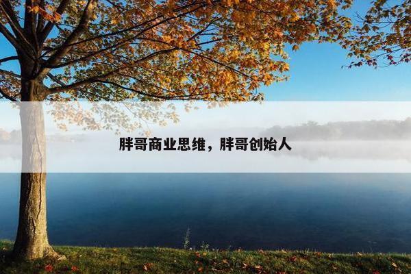 胖哥商业思维，胖哥创始人