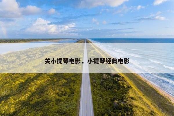 关小提琴电影，小提琴经典电影